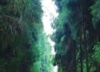 初秋山野治愈行！彭州六镇宝藏徒步线，解锁秋日松弛感