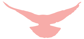 0d3420e3a81d84c40a5ba93cc9e8fb6c.png