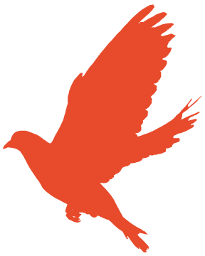 4ced596c64991385d25be88e9e9f0784.png